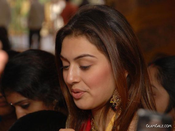 Click to Enlarge - Pretty Hansika Motwani Wallpapers