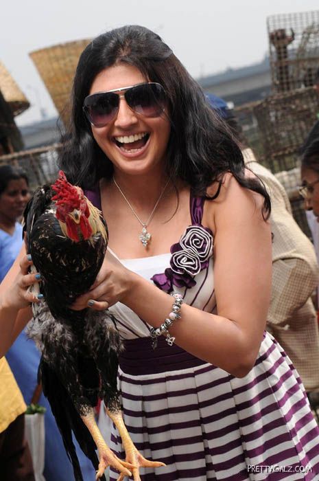 Tollywood Heroines In Stylish Sunglasses