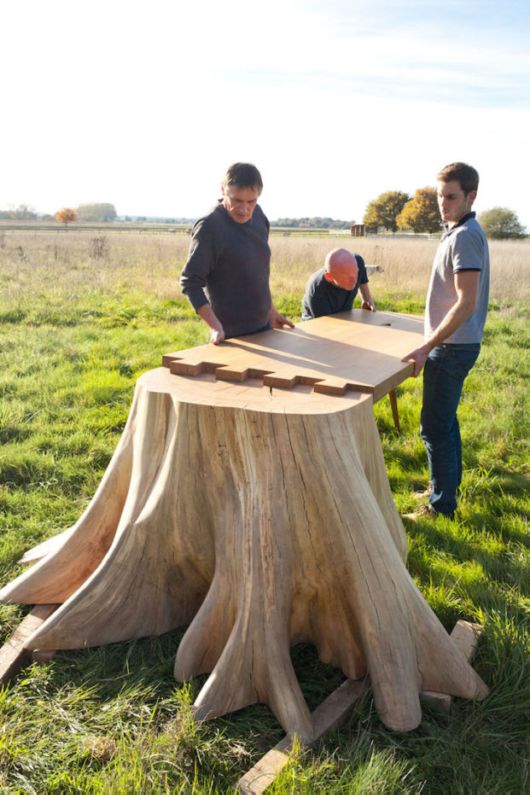 Beautifully Designed Natural Tree Stump Table